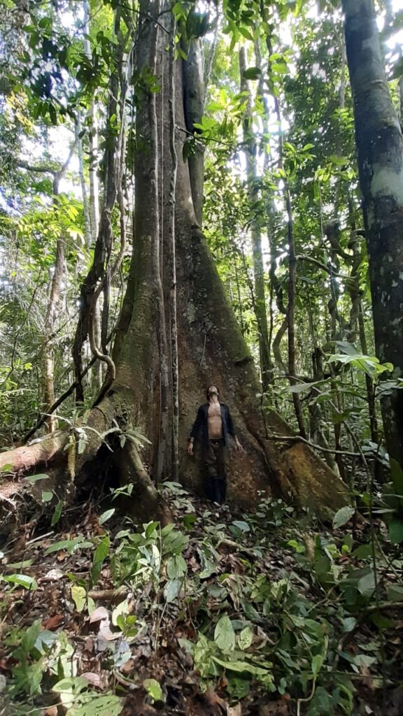 Authentic Ayahuasca retreat Iquitos peru