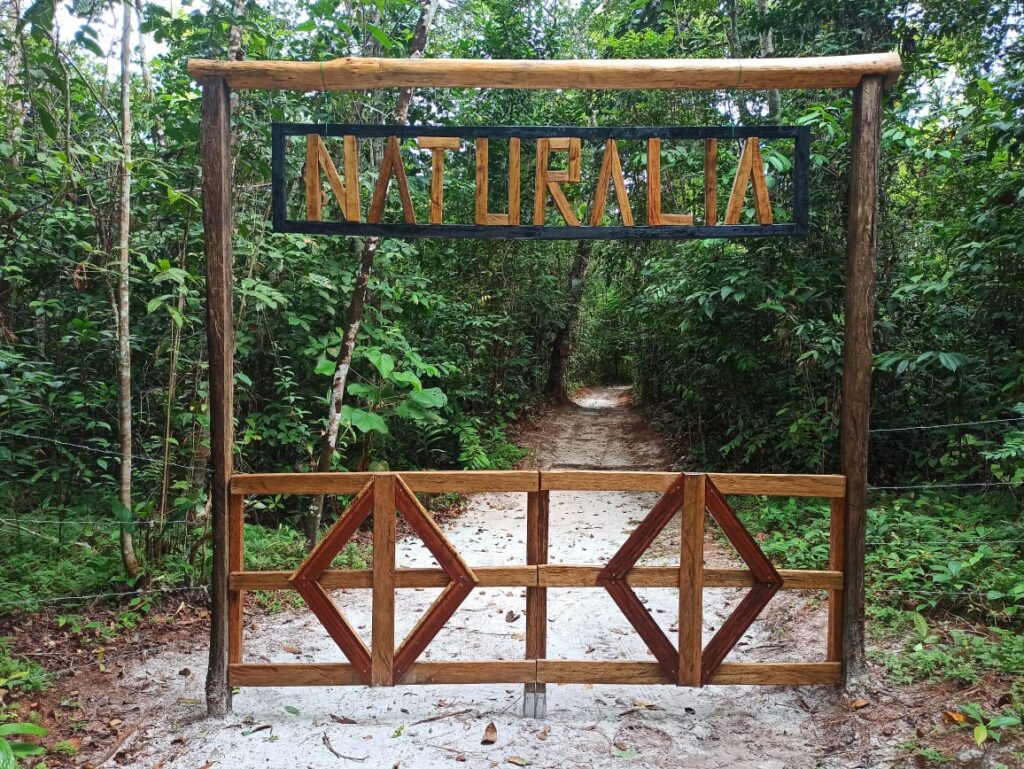 Best Ayahuasca retreat peru