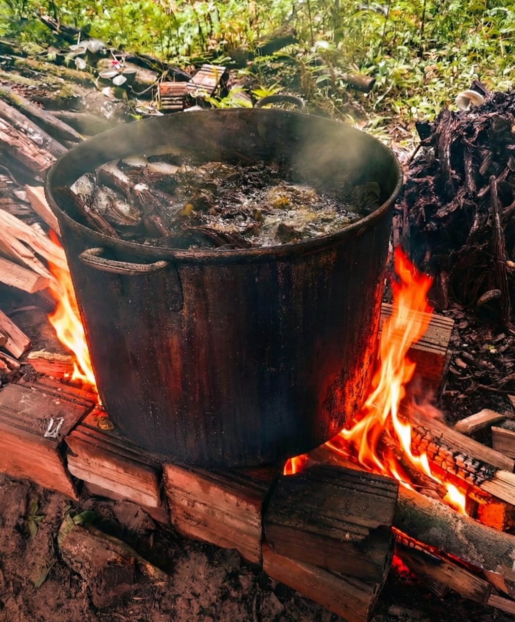 Authentic-ayahuasca-preparation-shipibo-method